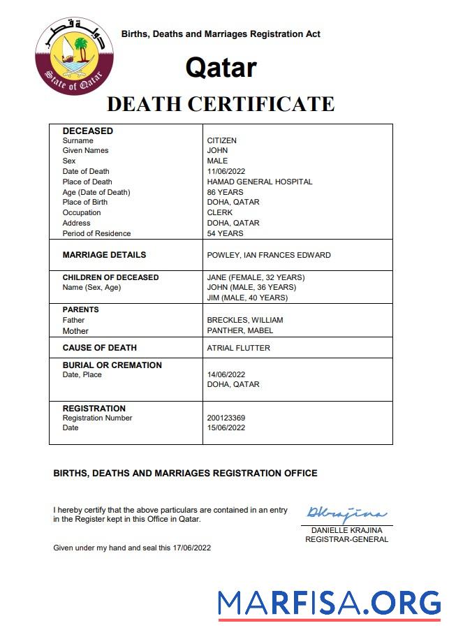 Blank Qatar vital record death certificate Word and PDF template